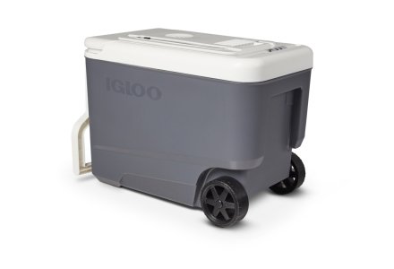 Schaap long Banket Koelbox op wielen | Igloo Coolers Europe